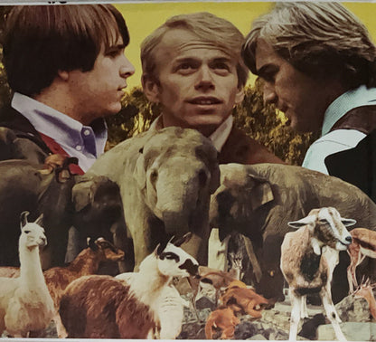 The Beach Boys : Pet Sounds (LP, Album, Mono, RE, RM, 180 + LP, Album, RE, RM, )