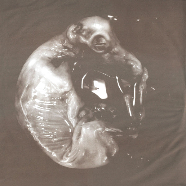 Slipknot : Iowa (2xLP, Album)
