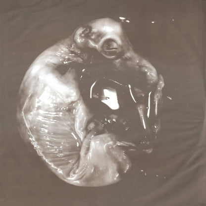 Slipknot : Iowa (2xLP, Album)