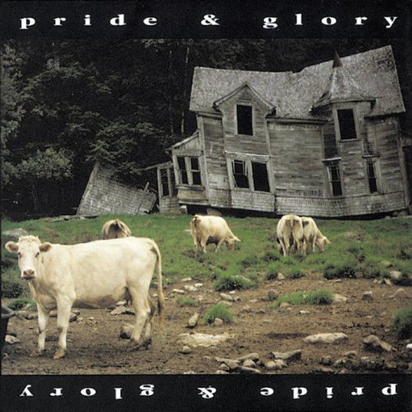 Pride And Glory* : Pride & Glory (2xLP, Album, RE, RM, Gre)