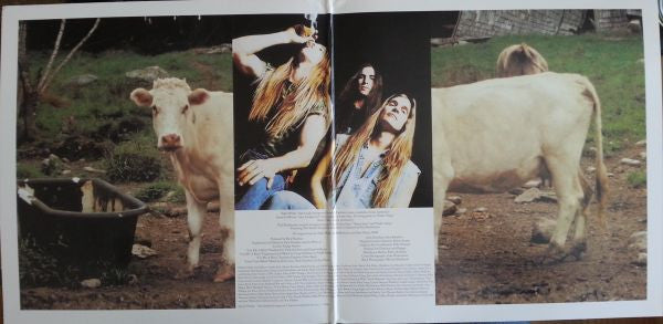 Pride And Glory* : Pride & Glory (2xLP, Album, RE, RM, Gre)
