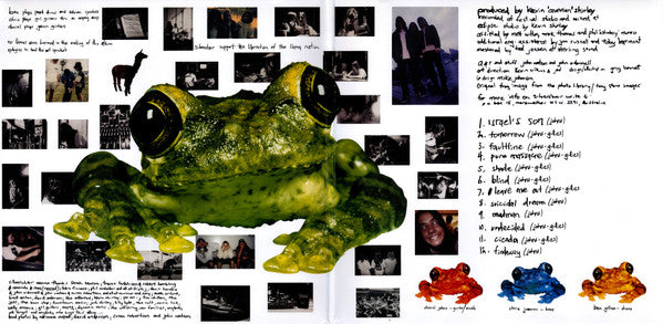 Silverchair : Frogstomp (LP + LP, S/Sided, Etch + Album, Ltd, RE, Gre)