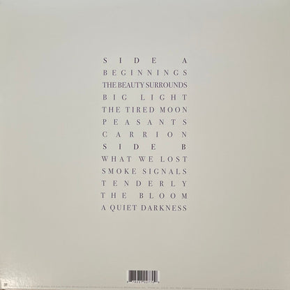 Houses : A Quiet Darkness (LP, Album)