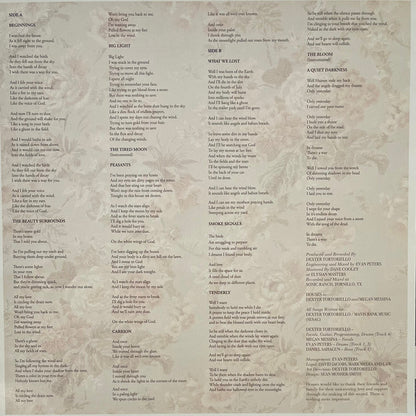 Houses : A Quiet Darkness (LP, Album)