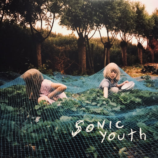 Sonic Youth : Murray Street (LP, Album)
