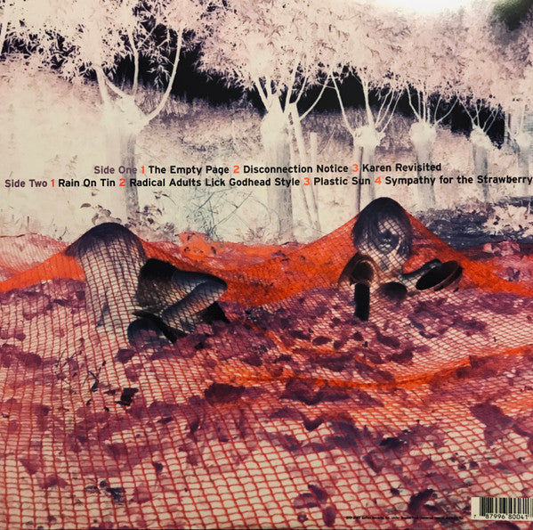 Sonic Youth : Murray Street (LP, Album)