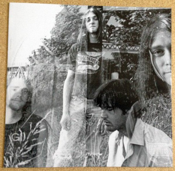 Nirvana : Bleach (LP, Album, Ltd, Num, RE, RM, Mar)