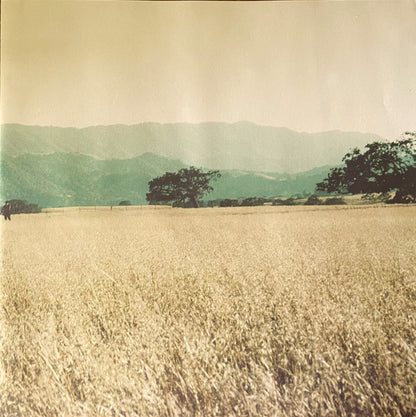 You+Me : Rose Ave. (LP, Album, Ltd)