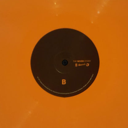J.I.D : The Never Story (LP, Album, Ora)